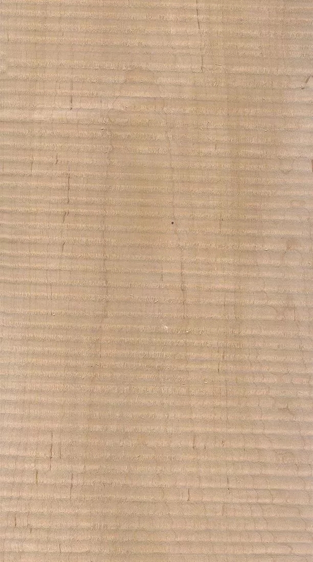 樺木的芯材顏色是淡紅棕色，邊材顏色近白色，板面寬且?guī)в暗哪酒な袌鰞r格良好，紋理通常是直紋和波浪紋，質(zhì)地均勻，板面有很好的自然光澤度。.webp.jpg